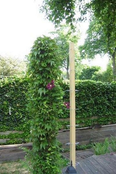 Grote foto plantensteun klimmende planten klimplantklemmen tuin en terras tuinhout en palen