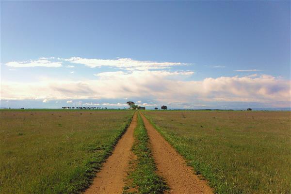 Grote foto ed van der aa de camino de levante boeken reisverhalen