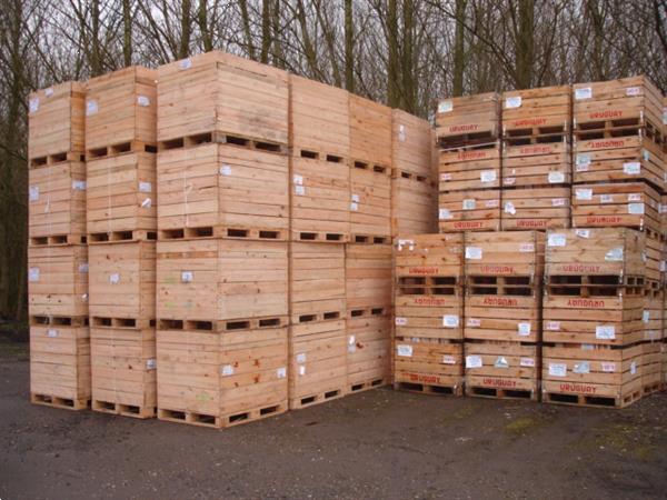Grote foto kuubskisten palletboxen voorraadbakken agrarisch kisten