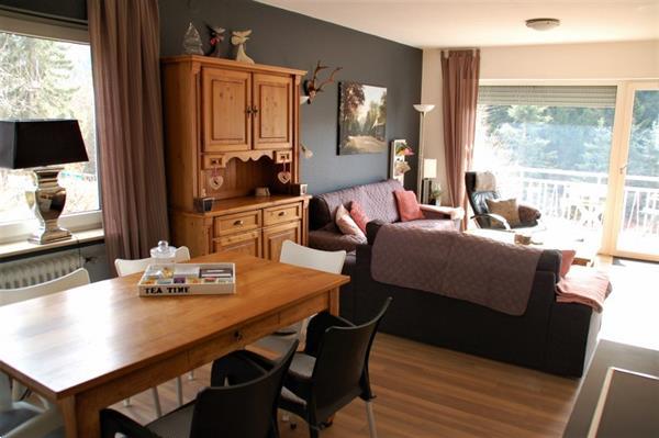 Grote foto sfeervol appartement 6p nabij winterberg vakantie duitsland west