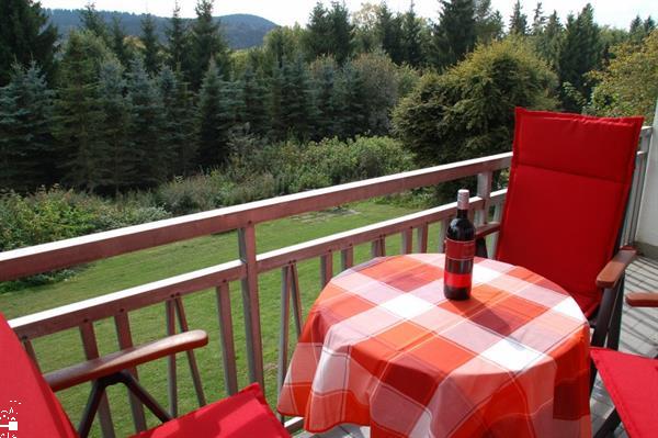 Grote foto sfeervol appartement 6p nabij winterberg vakantie duitsland west