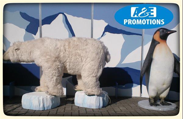 Grote foto prachtige ijsbeer huren brugge gent 0031599416200 diensten en vakmensen kerst
