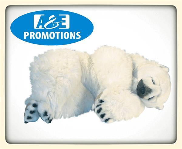 Grote foto verhuur ijsbeer slapend brabant 0599 416200 diensten en vakmensen algemeen