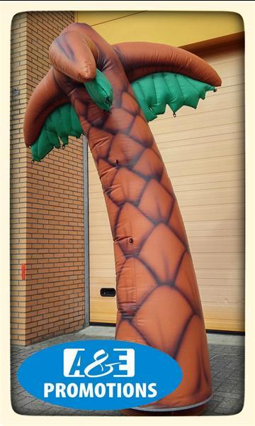 Grote foto kunstpalmen huren palmbomen drenthe 0599416200 diensten en vakmensen entertainment