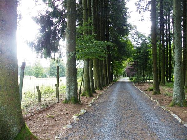 Grote foto landhuis voor 10p met jacuzzi en sauna vakantie belgi