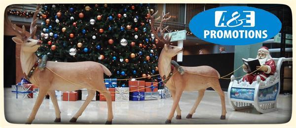 Grote foto verhuur lapland huskies huren utrecht 0599 416200 diversen kerst