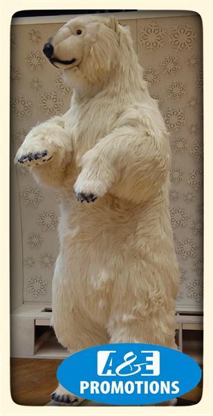 Grote foto verhuur arctische figuren ijsberen verhuur haarlem diensten en vakmensen kerst