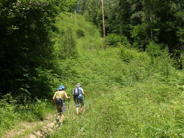 Grote foto wandelen in de auvergne zuiden frankrijk vakantie senioren