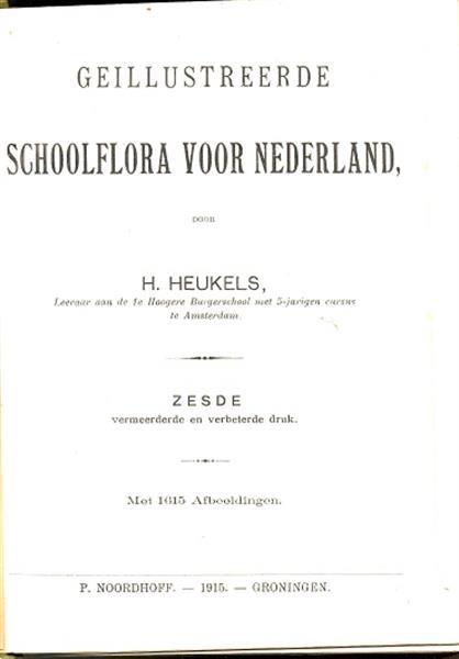 Grote foto geillustreerde schoolflora nederland heukels 1915 boeken natuur