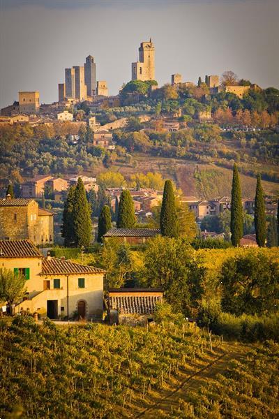 Grote foto glamping safaritent in toscane vakantie italie