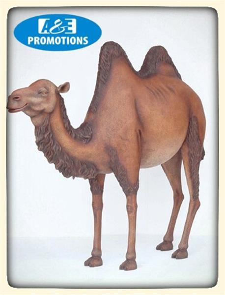 Grote foto verhuur kameel decoratie oase props huren utrecht diversen overige diversen