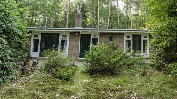 Grote foto vrijstaande recreatiewoning huizen en kamers recreatiewoningen