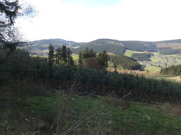 Grote foto massage meets movement retraite sauerland diensten en vakmensen alternatieve geneeskunde en spiritualiteit