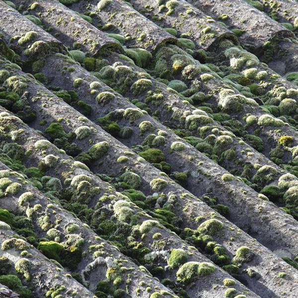 Grote foto asbestinventarisatie en asbest verwijderen diensten en vakmensen slopers en sloopwerkzaamheden