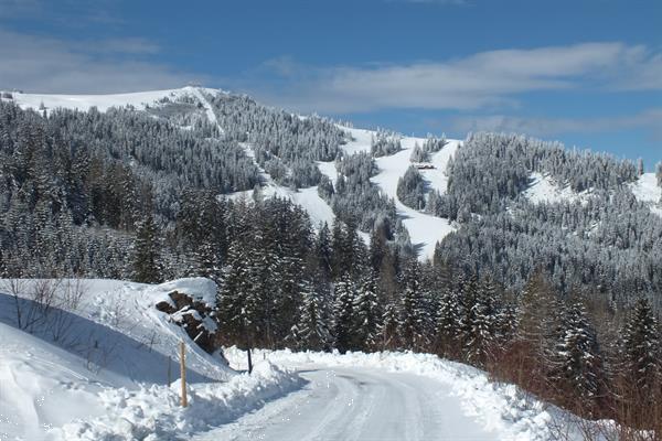 Grote foto gezellig comfortabel huis. berg skigebied vakantie oostenrijk