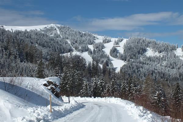 Grote foto gezellig comfortabel huis. berg skigebied vakantie oostenrijk