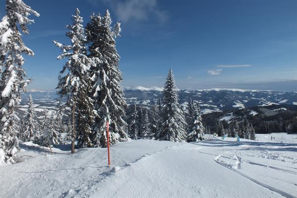 Grote foto gezellig comfortabel huis. berg skigebied vakantie oostenrijk