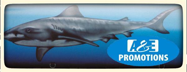 Grote foto verhuur shark beachvolleybal veld utrecht brabant diensten en vakmensen bedrijfsuitjes
