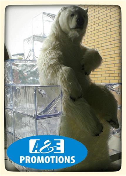 Grote foto grote ijsbeer staand verhuur brugge gent hasselt diensten en vakmensen themafeestjes