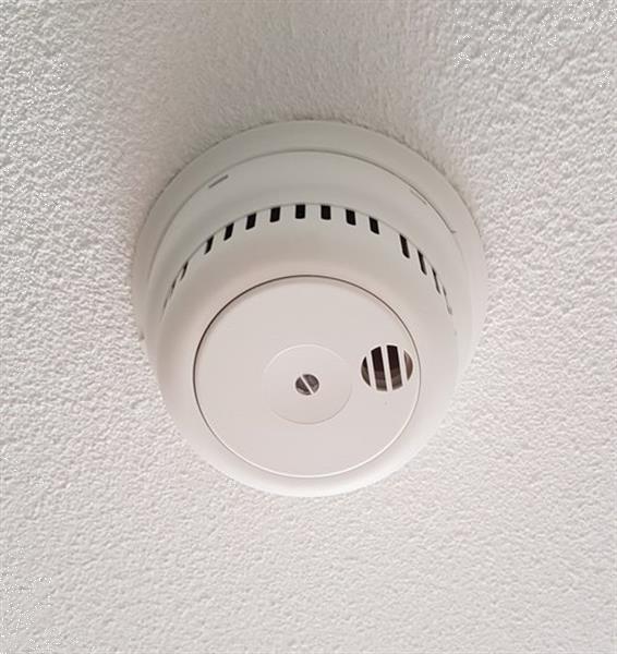 Grote foto sensotec fh250rb 230v rookmelder doe het zelf en verbouw inbraaksystemen
