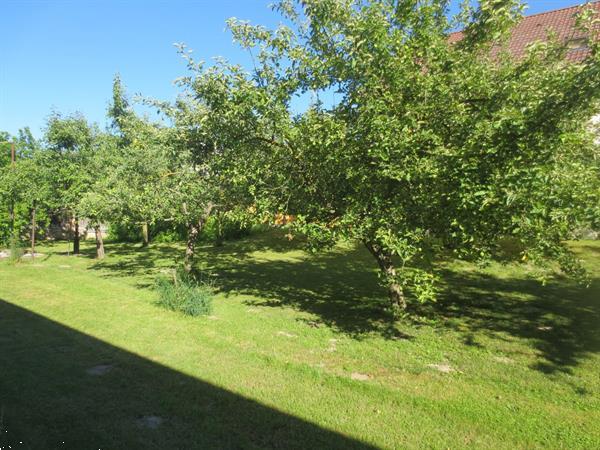 Grote foto nette boerderij nabij p cs huizen en kamers bestaand europa