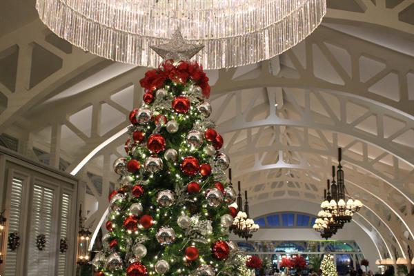 Grote foto leveren kerstbomen m t versiering z. nederland diensten en vakmensen kerst
