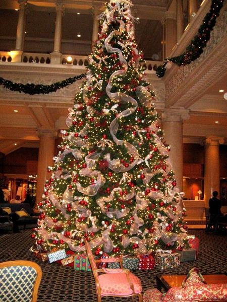 Grote foto wij leveren huur kerstbomen bij u in z. nederland diensten en vakmensen feesten