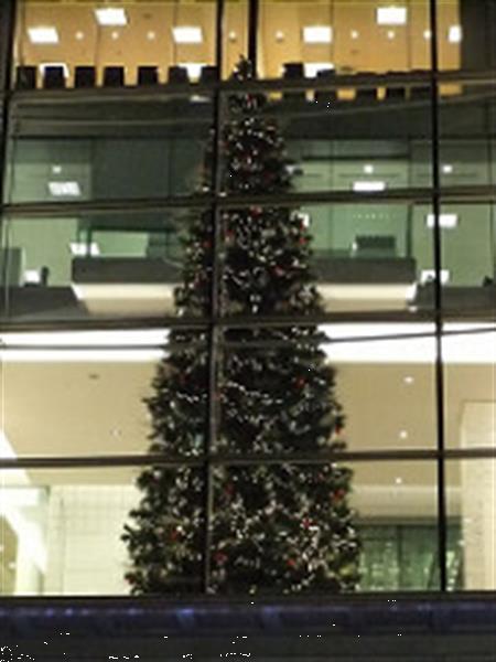 Grote foto wij leveren huur kerstbomen bij u in z. nederland diensten en vakmensen feesten