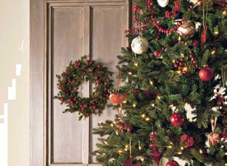 Grote foto wij leveren huur kerstbomen bij u in z. nederland diensten en vakmensen feesten