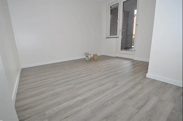 Grote foto for rent new apartments in rotterdam. huizen en kamers appartementen en flat