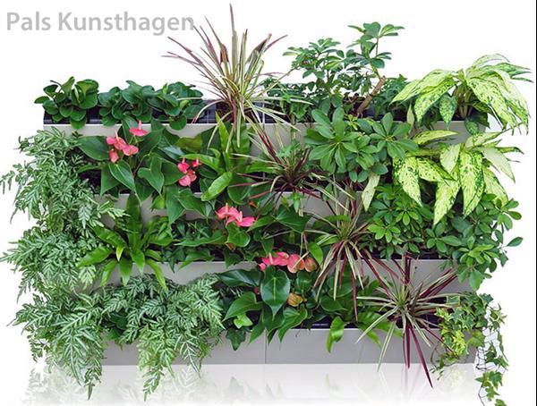 Grote foto groene muur verticale tuin plantenbak tuin en terras tuindecoratie