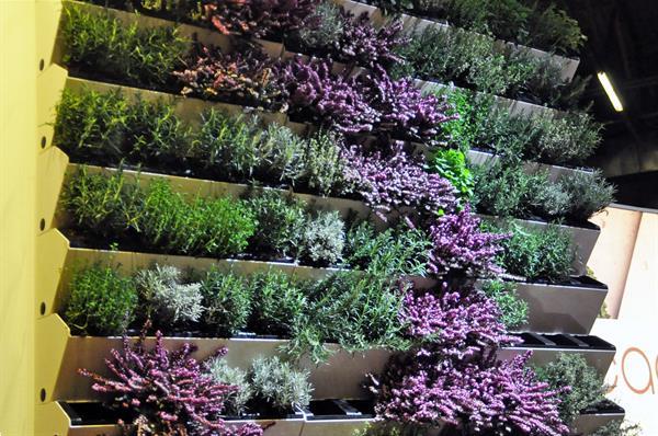 Grote foto groene muur verticale tuin plantenbak tuin en terras tuindecoratie