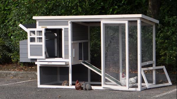 Grote foto konijnenhok julia white grey met kunststof dak dieren en toebehoren hokken en kooien