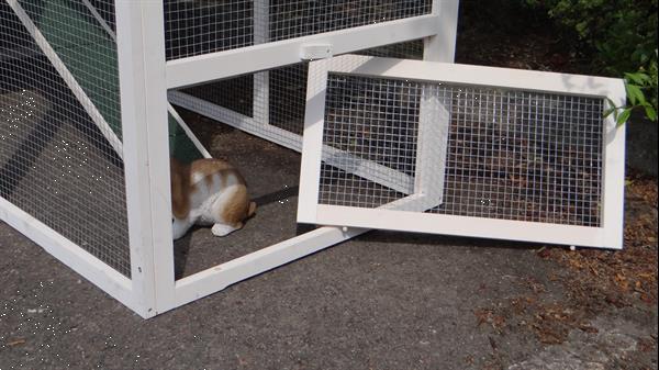 Grote foto konijnenhok julia white grey met kunststof dak dieren en toebehoren hokken en kooien