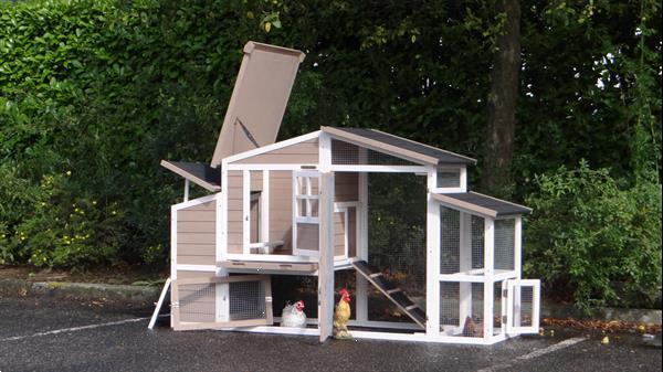 Grote foto kippenhok leah nieuw dieren en toebehoren hokken en kooien