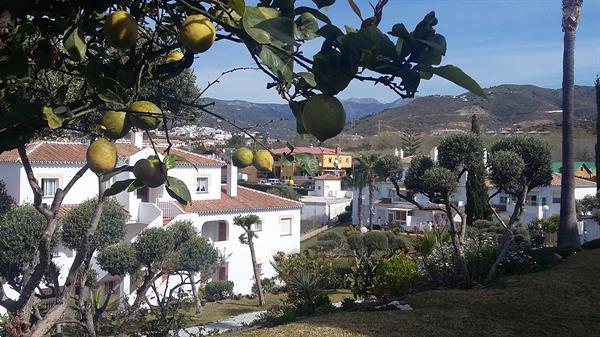 Grote foto vakantiehuis aan de kust van torrox malaga vakantie spanje