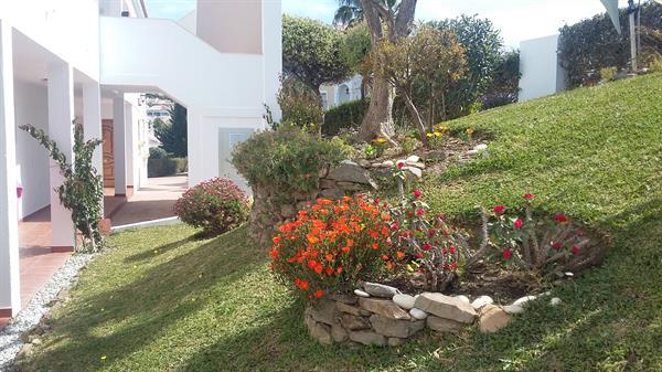 Grote foto vakantiehuis aan de kust van torrox malaga vakantie spanje