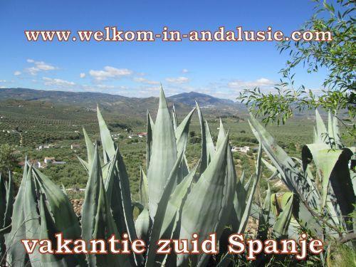 Grote foto te huur vakantiehuisjes in de natuur andalusie vakantie spanje