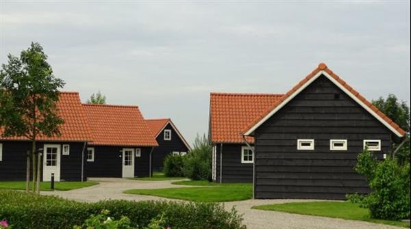 Grote foto gezellige zeeuwse vakantiehuisjes. vrijstaand op een kleinsc vakantie nederland zuid