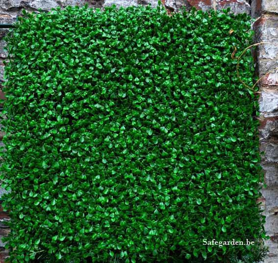 Grote foto buxus safegarden kunsthaag extra korting 8.11 tuin en terras hekken en schuttingen