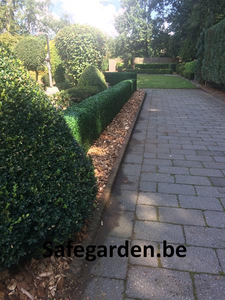 Grote foto buxus safegarden kunsthaag extra korting 8.11 tuin en terras hekken en schuttingen