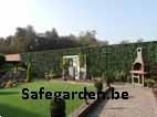 Grote foto klimop safegarden rechtstreekse verkoop 6.52 tuin en terras hekken en schuttingen