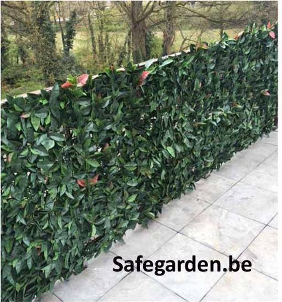 Grote foto laurier safegarden aan groothandelsprijzen 7.51 tuin en terras hekken en schuttingen