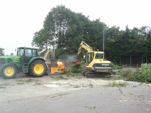 Grote foto bomenkappen boomkappen boom kappen rooien diensten en vakmensen tuinmannen en stratenmakers