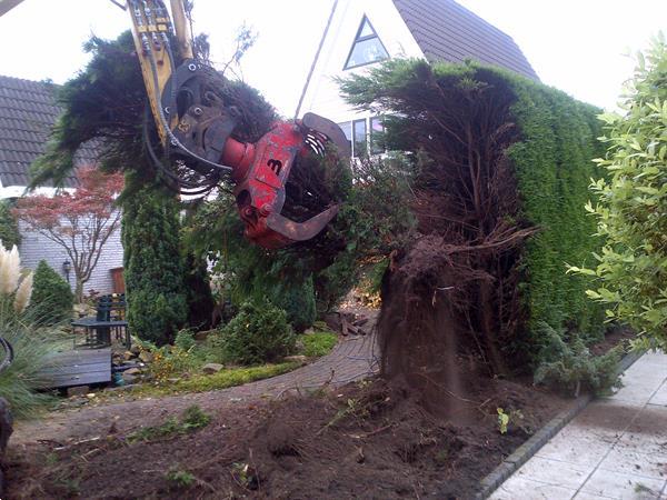 Grote foto bomenkappen boomkappen boom kappen rooien diensten en vakmensen tuinmannen en stratenmakers