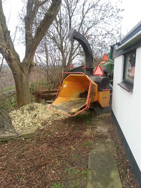 Grote foto bomenkappen boomkappen boom kappen rooien diensten en vakmensen tuinmannen en stratenmakers