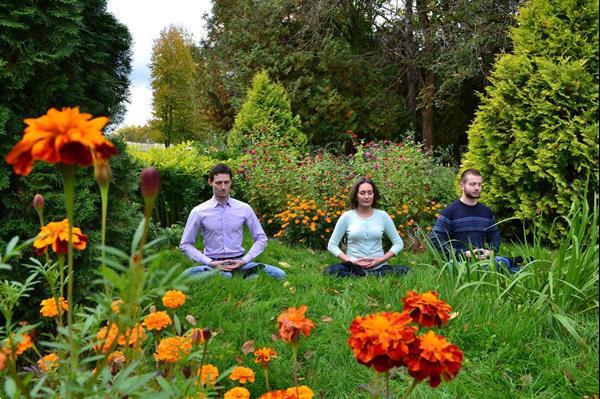 Grote foto eenvoudig leren mediteren met falun dafa diensten en vakmensen alternatieve geneeskunde en spiritualiteit