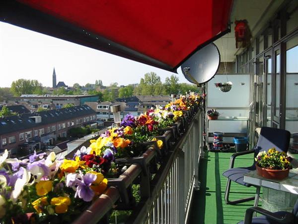 Grote foto jij wil naar naaldwijk ik den haag rotterdam huizen en kamers woningruil naar kleiner