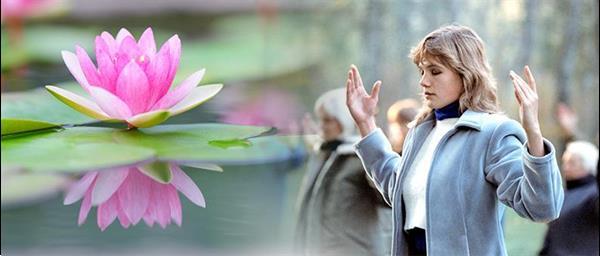 Grote foto qigong en meditatie oefenplaatsen in nederland diensten en vakmensen coaching en persoonlijke effectiviteit