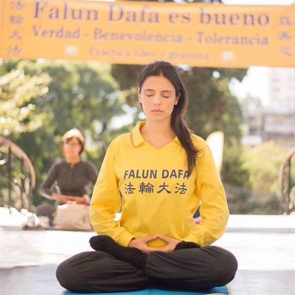Grote foto qigong en meditatie oefenplaatsen in nederland diensten en vakmensen coaching en persoonlijke effectiviteit